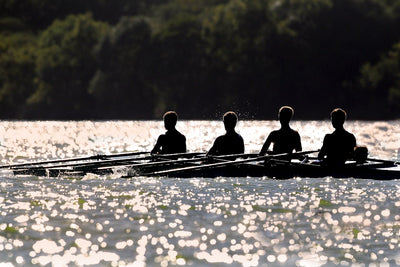 Silhouettes of rowers on a boat on a lake with trees in the background Photo: Patrick Case