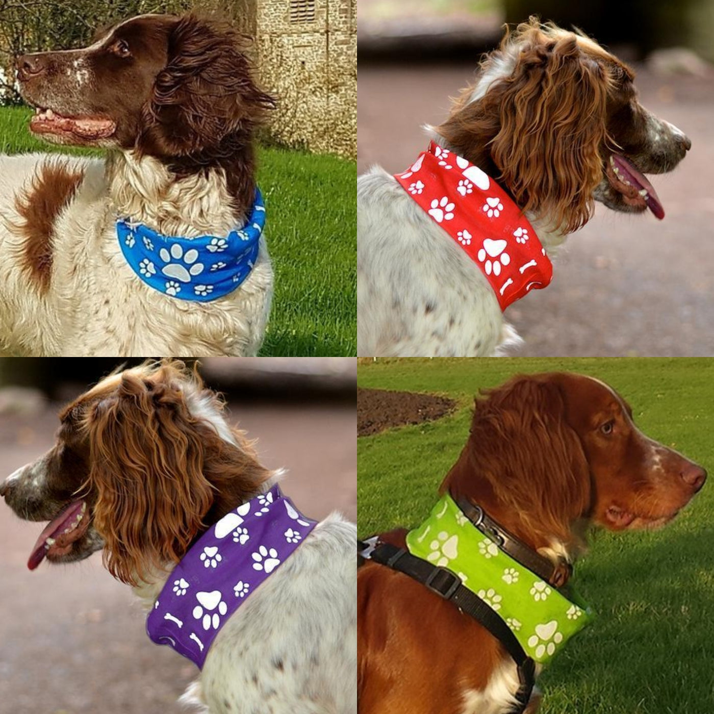 Reflective Purple Dog Snood Scarf