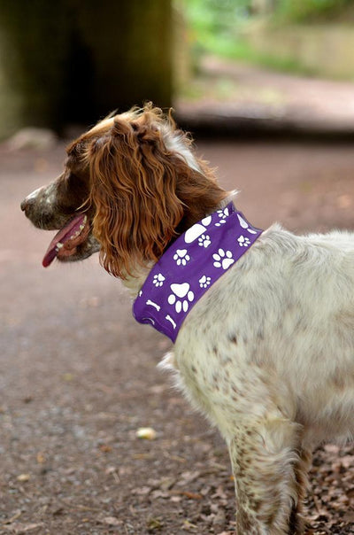 Reflective Purple Dog Snood Scarf