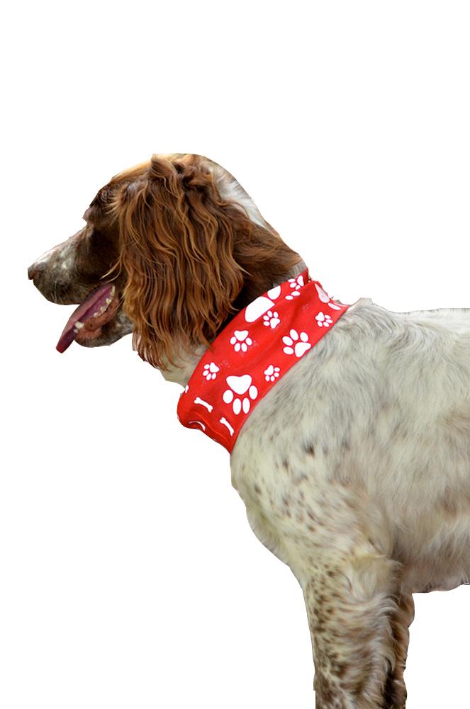 Reflective Dog Scarf/Bandana! Red Dog Scarf RUFFNEK® Red