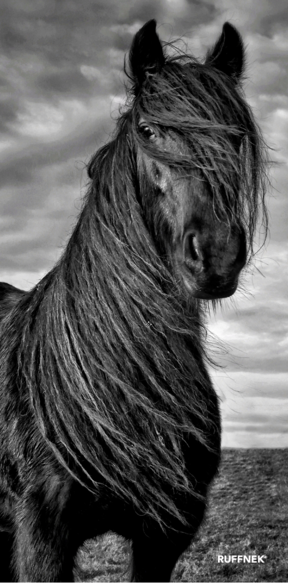 Wild Pony Multifunctional Scarf RUFFNEK® Black/Grey
