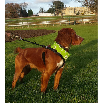 Reflective Dog Scarf/Bandana! Green Dog Scarf RUFFNEK® Green