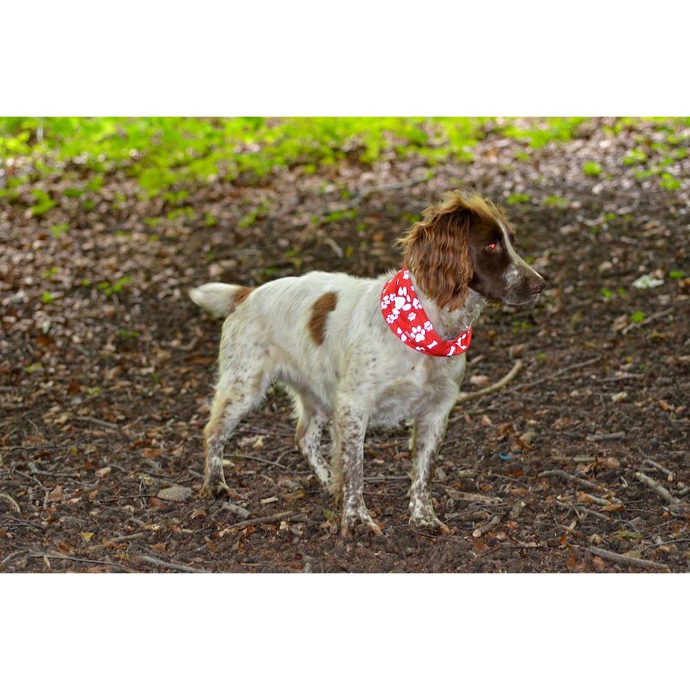 Reflective Dog Scarf/Bandana! Red Dog Scarf RUFFNEK® Red